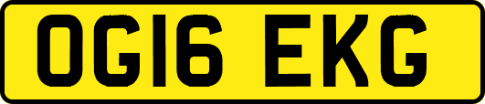 OG16EKG