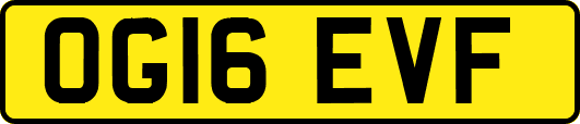 OG16EVF