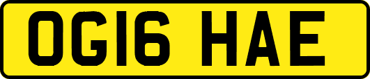 OG16HAE