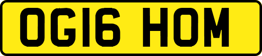 OG16HOM