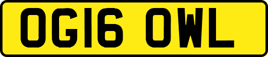 OG16OWL