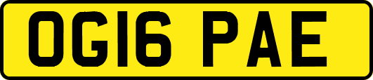 OG16PAE