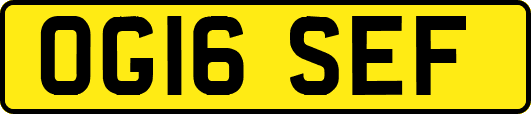 OG16SEF