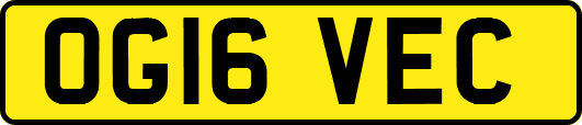 OG16VEC