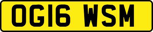 OG16WSM