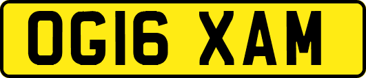 OG16XAM