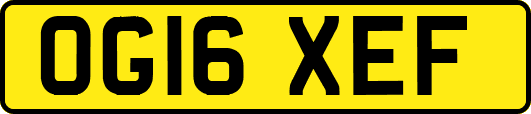 OG16XEF