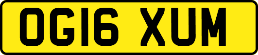 OG16XUM