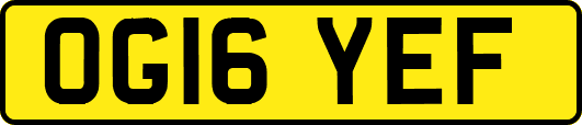 OG16YEF