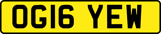 OG16YEW