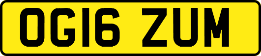 OG16ZUM