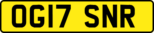 OG17SNR