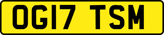 OG17TSM