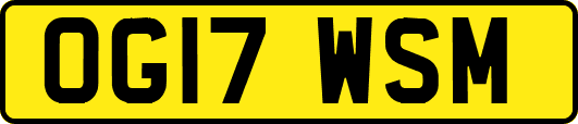 OG17WSM