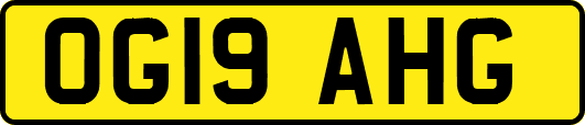 OG19AHG