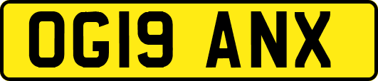 OG19ANX