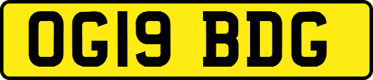 OG19BDG