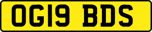OG19BDS