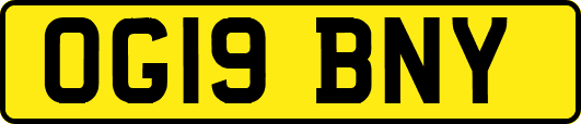OG19BNY