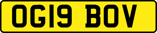 OG19BOV