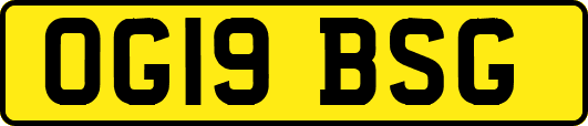 OG19BSG