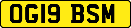 OG19BSM