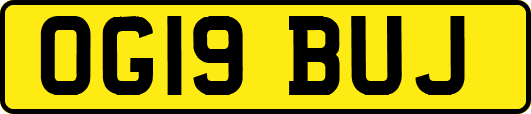 OG19BUJ