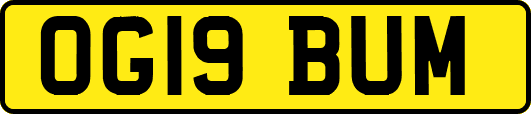 OG19BUM