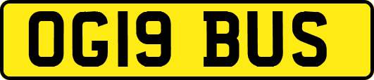 OG19BUS