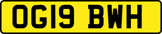OG19BWH