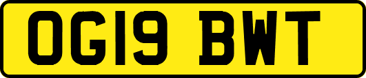 OG19BWT