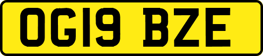 OG19BZE