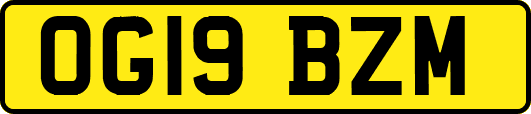 OG19BZM