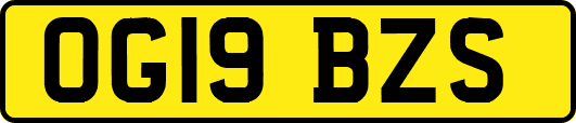 OG19BZS