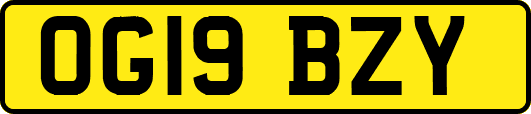 OG19BZY