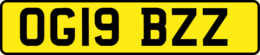 OG19BZZ