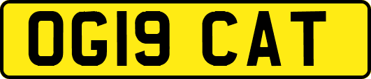 OG19CAT