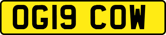 OG19COW