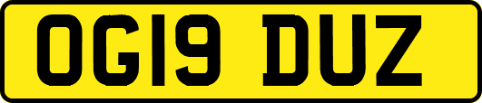 OG19DUZ
