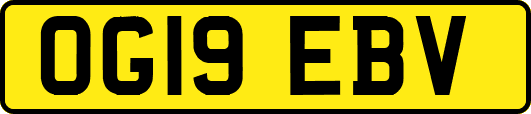 OG19EBV