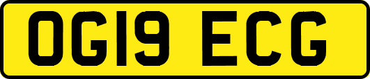 OG19ECG