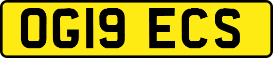 OG19ECS