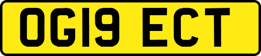 OG19ECT