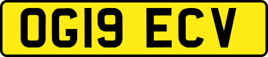 OG19ECV