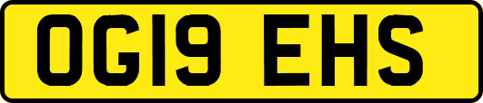 OG19EHS