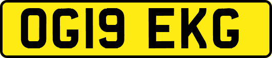 OG19EKG
