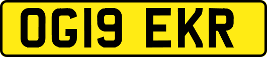 OG19EKR
