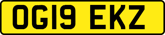 OG19EKZ