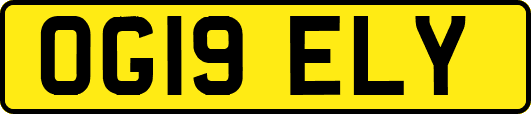 OG19ELY