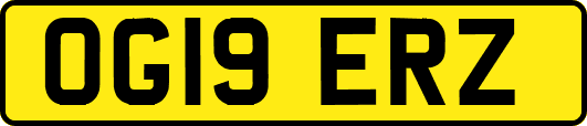 OG19ERZ